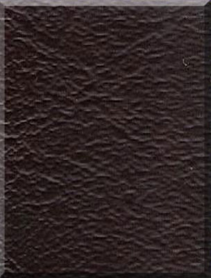Chestnut leathertone swatch