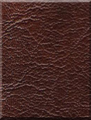 Cinnamon leathertone swatch
