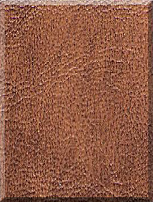 Saddle leathertone swatch
