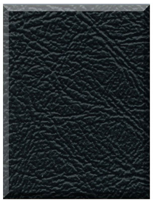 Black solid swatch