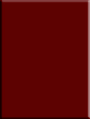 Burgundy velvet bottom swatch