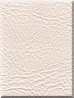 Ivory solid swatch