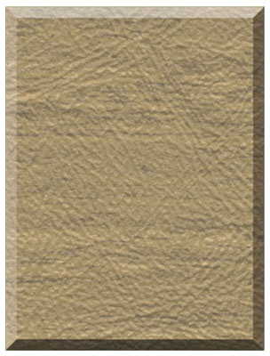Patomac woodgrain swatch